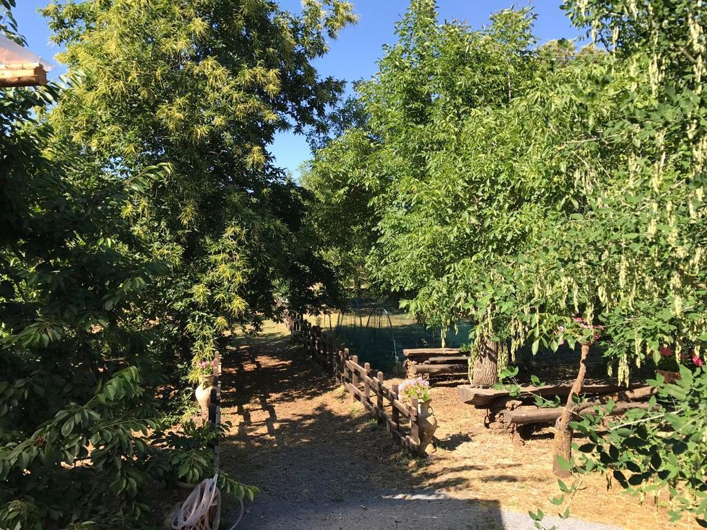 布龙泰Casa Etna别墅 外观 照片